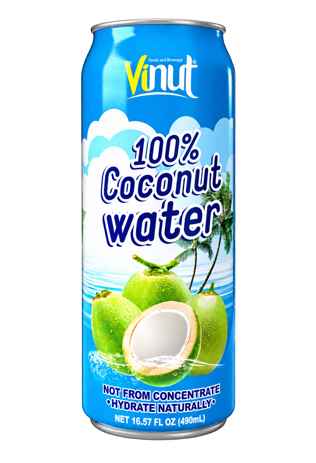 Vinut Agua de Coco, 500 mL